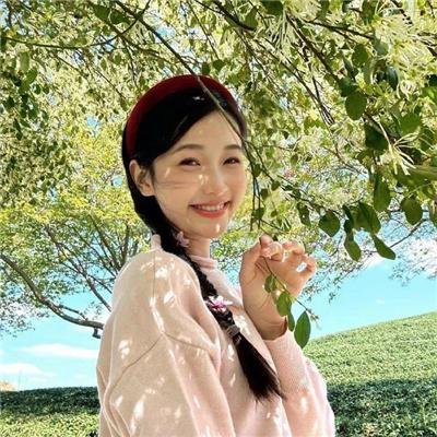 虎王归来封面